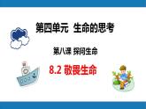 8.2敬畏生命2023-2024学年七上道德与法治课件+教案