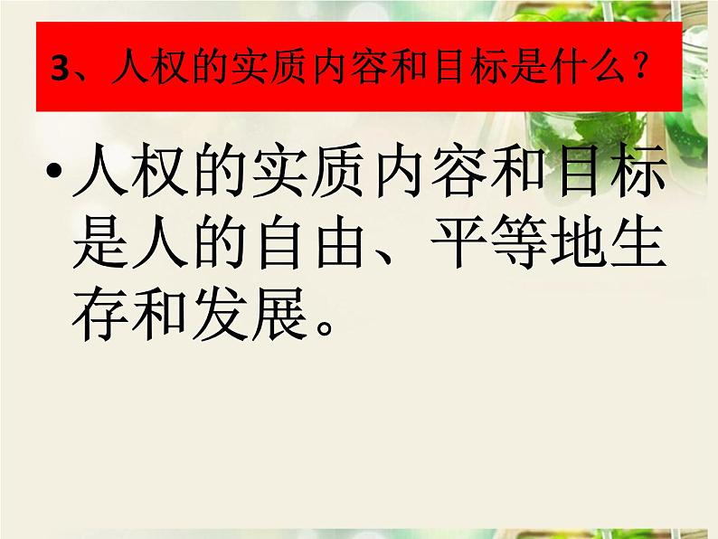 人教版道德与法治八年级下册第一课维护宪法的权威复习课件 (共29张ppt)04