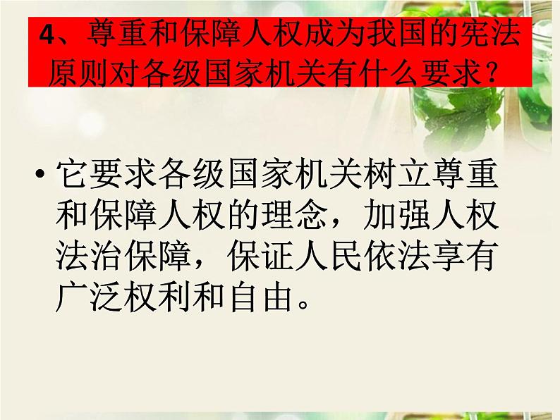 人教版道德与法治八年级下册第一课维护宪法的权威复习课件 (共29张ppt)05