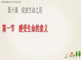 人教版《道德与法治》七年级上册 10.1 感受生命意义 课件+教案+学案(3份打包)