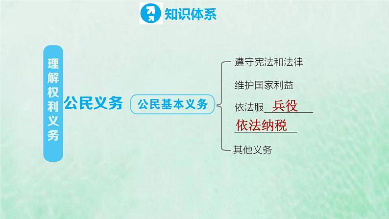 河北专用新人教版八年级道德与法治下册第二单元理解权利义务复习训练课件第5页