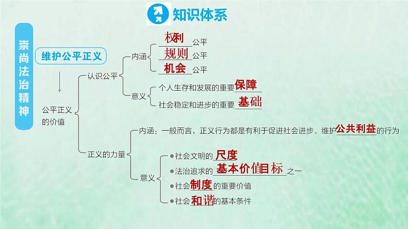 河北专用新人教版八年级道德与法治下册第四单元崇尚法治精神复习训练课件04