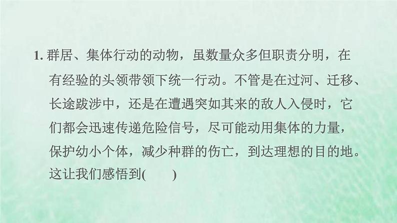 福建专用新人教版七年级道德与法治下册第三单元在集体中成长易错专训课件04