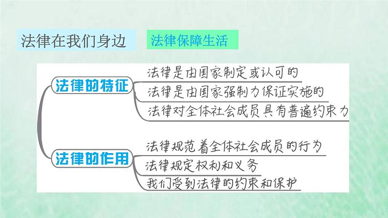 福建专用新人教版七年级道德与法治下册第四单元走进法治天地第九课法律在我们身边双休作业九课件03
