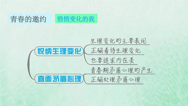 福建专用新人教版七年级道德与法治下册第一单元青春时光第一课青春的邀约双休作业一课件02