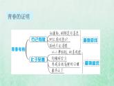福建專用新人教版七年級(jí)道德與法治下冊(cè)第一單元青春時(shí)光第三課青春的證明雙休作業(yè)三課件