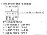 人教版八年級政治下冊第2單元理解權(quán)利義務(wù)單元檢測卷課件