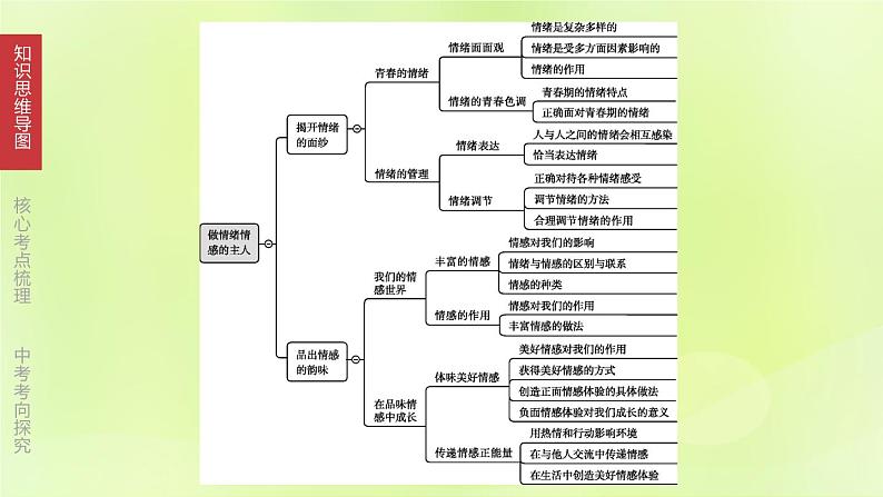 全国版中考政治总复习专题第2部分七年级下册第06课时做情绪情感的主人课件第3页