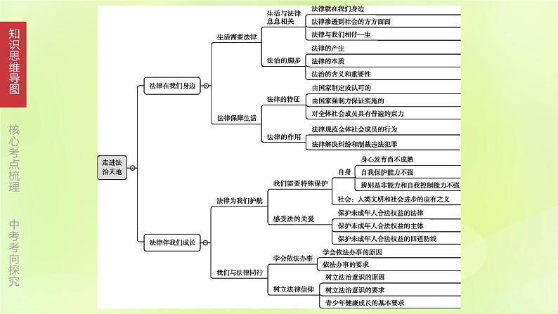 全国版中考政治总复习专题第2部分七年级下册第08课时走进法治天地课件第3页