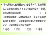 人教版八年级政治上册第2单元遵守社会规则第4课社会生活讲道德第3框诚实守信作业2课件