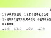 人教版八年级政治上册第2单元遵守社会规则单元热点专题作业课件