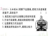 人教版八年级政治下册第1单元坚持宪法至上单元小结作业课件