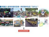 3.1 维护秩序 课件-2022-2023学年部编版道德与法治八年级上册 (1)