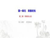 人教版七年级政治下册第1单元青春时光第2课青春的心弦第2框青春萌动作业课件