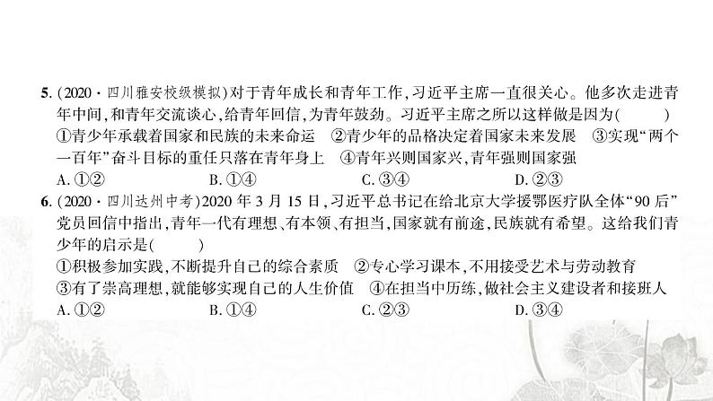人教版九年级政治下册第3单元走向未来的少年检测课件第5页