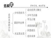 人教版九年级政治下册第3单元走向未来的少年知识总结作业课件