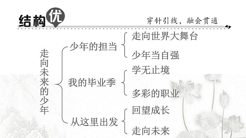 人教版九年级政治下册第3单元走向未来的少年知识总结作业课件第2页