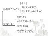 人教版九年级政治下册第3单元走向未来的少年知识总结作业课件