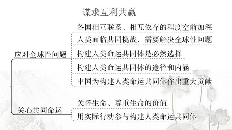 人教版九年级政治下册第1单元我们共同的世界知识总结作业课件第6页