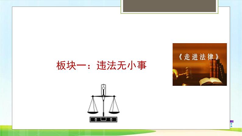 2021-2022学年八年级上册道德与法治5.1法不可违课件第4页