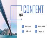 部編版  道德與法治《感受生命的意義》課件