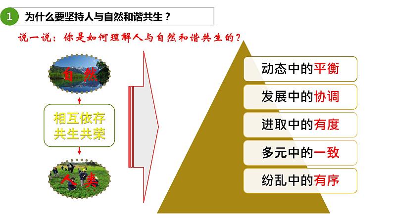 6.2共筑生命家园 课件+教案+练习（含素材）06