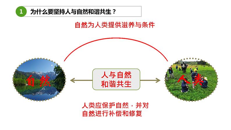 6.2共筑生命家园 课件+教案+练习（含素材）08