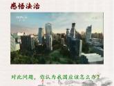 《夯实法治基础》教学课件-九年级上册道德与法治