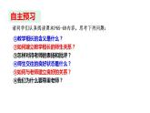 部编版七年级道德与法治上册--6.2 师生交往（课件）