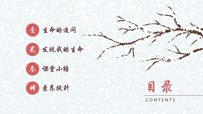 部编版七年级道德与法治上册--10.1 感受生命的意义（课件）03