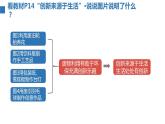 2022年秋人教部编版九年级道德与法治上册 2.1创新改变生活 教案 +课件+同步练习