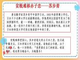 8.1国家好 大家才会好 课件