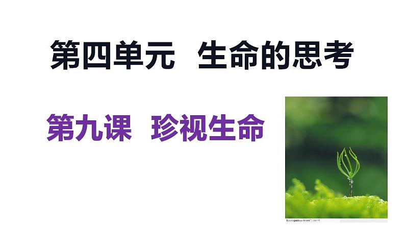 第九课 珍视生命 复习课件-2022-2023学年部编版道德与法治七年级上册01