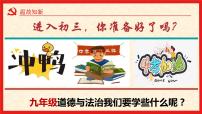 初中政治 (道德与法治)人教部编版九年级上册坚持改革开放图片ppt课件