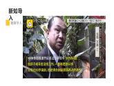 部编版八年级道德与法治上册1.1我与社会课件+视频素材）