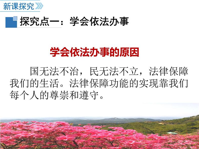 七年级道德与法制下册第十课 法律伴我们成长课件+视频+教案+学案04