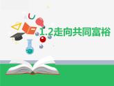 （部编版）九年级上册1.2 《走向共同富裕》课件