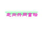 部编版九年级道德与法治上册--《走向共同富裕》课件2