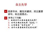 部编版九年级道德与法治上册--《走向共同富裕》课件1