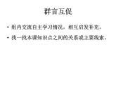 部编版九年级道德与法治上册--《走向共同富裕》课件1