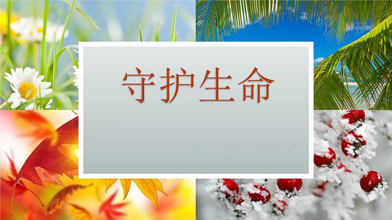 课件 守护生命第2页