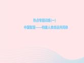 政治人教版九年級下冊同步教學(xué)課件第1單元我們共同的世界熱點專題訓(xùn)練(一)中國智慧__構(gòu)建人類命運(yùn)共同體作業(yè)