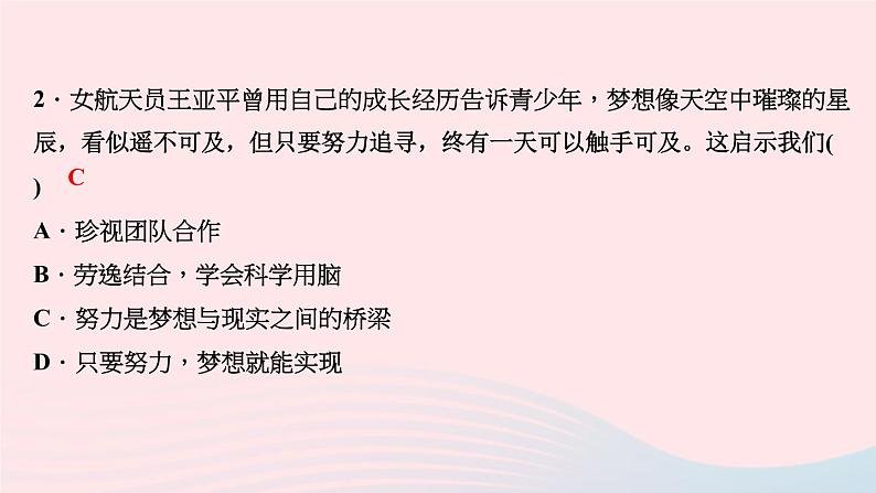 政治人教版九年级下册同步教学课件第3单元走向未来的少年热点专题训练(三)青年有担当国家有前途民族有希望作业第6页