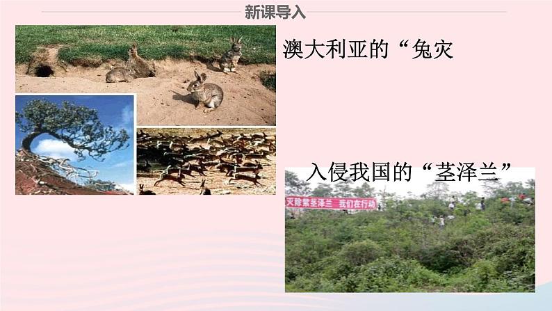 政治人教版八年级上册同步教学课件第4单元维护国家利益第9课树立总体国家安全观第2框维护国家安全观第2页