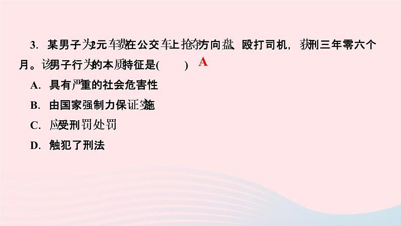 政治人教版八年级上册同步教学课件第2单元遵守社会规则第5课做守法的公民第2课时预防犯罪作业04