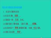 政治人教版九年级上册同步教学课件第1单元富强与创新第2课创新驱动发展第1框创新改变生活