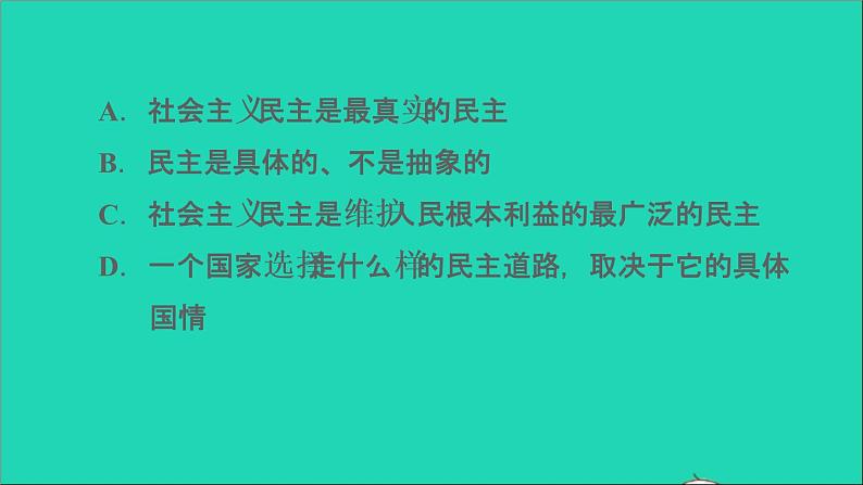 政治人教版九年级上册同步教学课件第2单元民主与法治第3课追求民主价值综合作业04