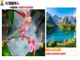 【核心素養(yǎng)目標(biāo)】部編版初中道法9上3.6.2《共筑生命家園》課件+學(xué)案+自測(cè)（含答案解析）