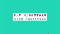 初中政治 (道德与法治)人教部编版八年级上册认识总体国家安全观教学ppt课件