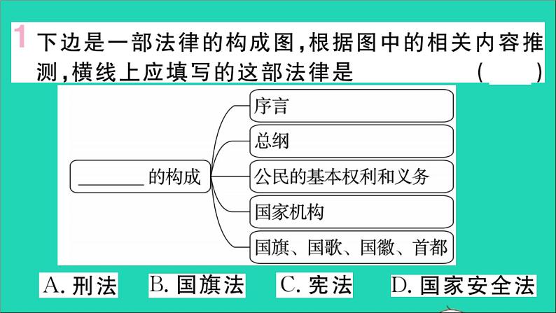 政治人教版八年级下册同步教学课件第1单元坚持宪法至上第2课保障宪法实施第1框坚持依宪治国作业02